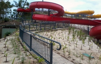 Cairns Fencing
